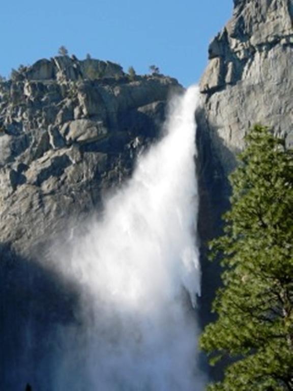 Yosemite Condominium Yosemite West Exteriör bild